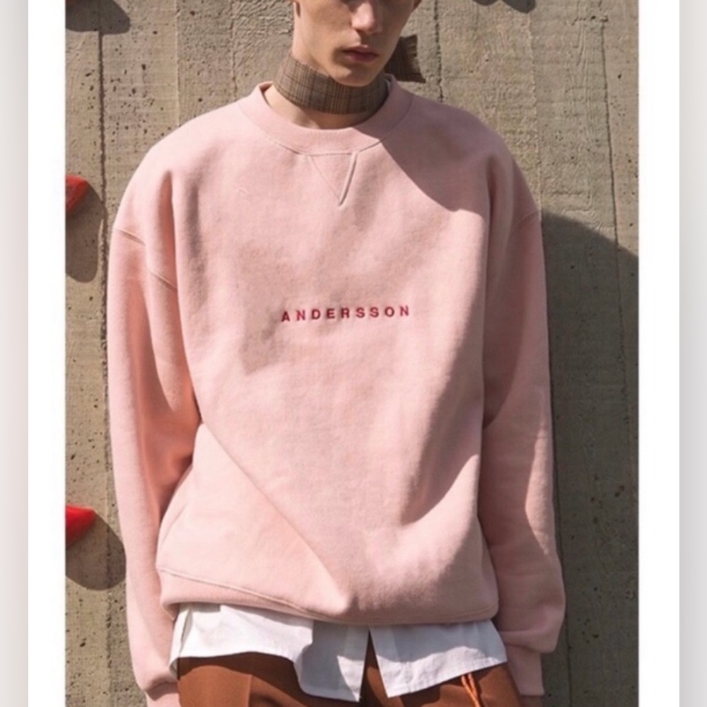 Andersson Bell ENIGMA Light Pink Crew Neck Sweatshirt. 💕⭐️ Size Small